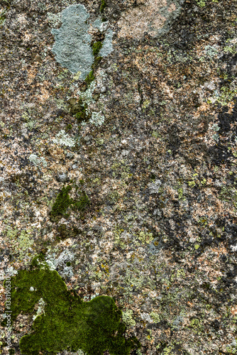 Obraz na płótnie Granite rock stone texture with moss and lichen. Concept: Moss, granite, nature. w salonie