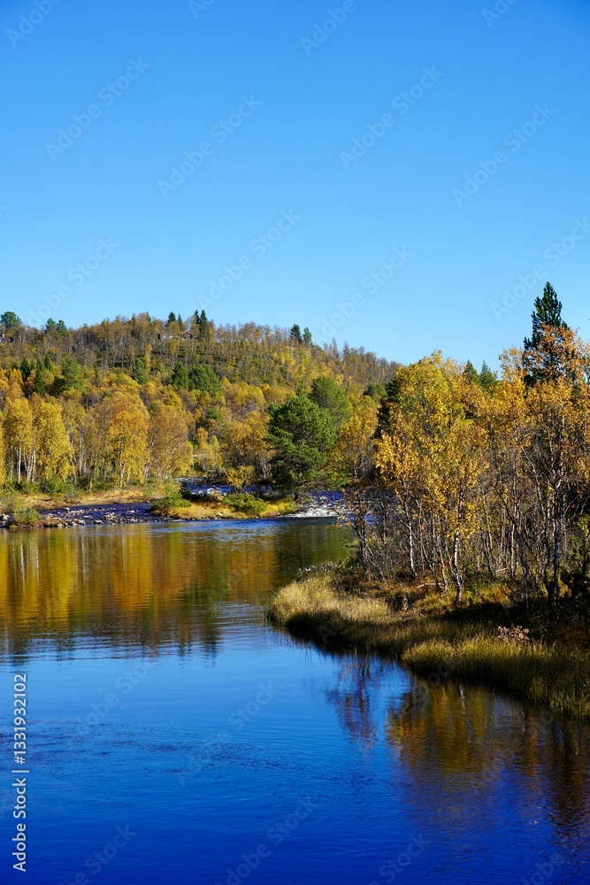 Autumn landscape with golden reflections on a blue river. Autumn landscape with golden reflections on a blue river.