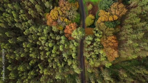 A Serene Forest Retreat with a Quaint House