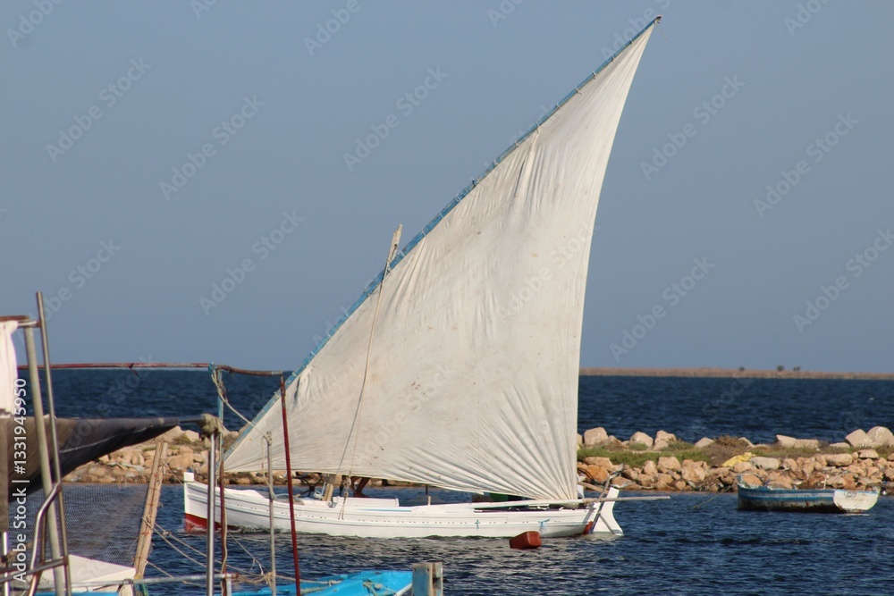 Obraz premium BOAT in the sea