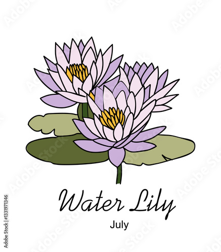 Water Lily, July birth month flower, hand drawing, colored outline, icon, Modern design for logo, tattoo, wall art, branding, packaging. Vector illustration isolated 