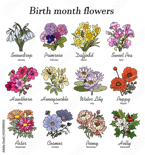 Set of birth month flowers colorful vector illustrations on white background. Snowdrop, primrose, daffodil, sweet pea, hawthorn, aster, peony, cosmos, holly hand drawn design, logo, tattoo, packaging.