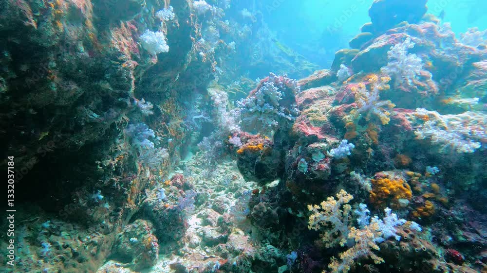 Hin Daeng, Thailand: Point of view footage of a diver through the underwater topography with canyon of the Hin Daeng dive site in the Andaman sea near Koh Lanta in Thailand. 