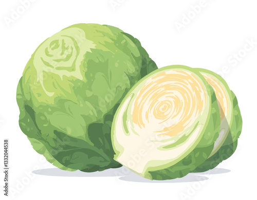 Green Cabbage Head and Sliced Halves Still Life
