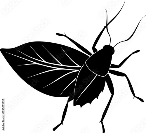 vector illustration of a black beetle