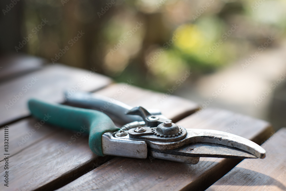 Garden shears, an essential tool for plant care.