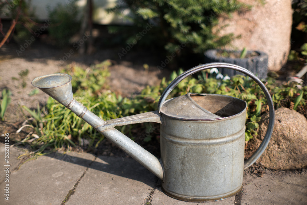 Old garden watering can, watering plants.