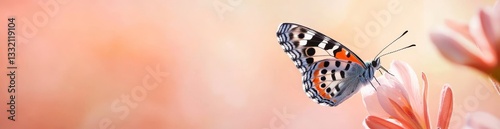 The garden's natural beauty, featuring butterflies and flowers, serves as a backdrop for designing day covers, banners, brochures, landing pages, or wallpapers