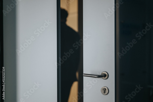 A mysterious silhouette is seen through a slightly ajar door in an office hallway, suggesting privacy or a secret meeting.