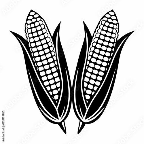 Fresh sweet corn on the cob with green husk and yellow kernels