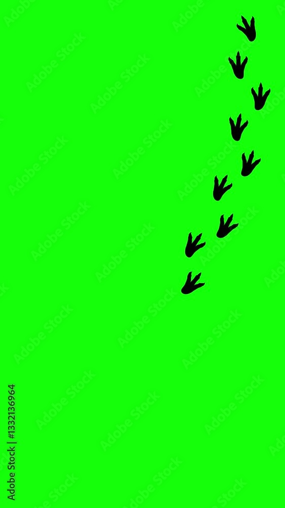 Tyrannosaurus rex footprints on green screen background