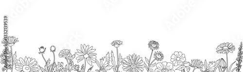 Horizontal seamless border with wild flowers line art drawing. Vector floral frame outline illustration isolated on transparent background.