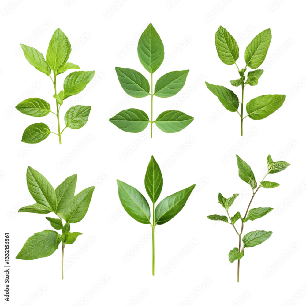 Green leaves vibrant pattern nature design artwork Green leaves vibrant pattern nature design artwork