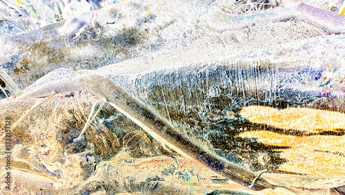 Digitally generated image: Close-up abstract nature, the surface of a tree trunk is textured with lines, bright colors, and a surreal, dreamlike quality.