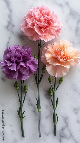 Three Carnation Flowers on Marble Background