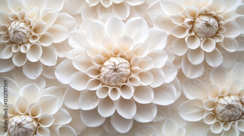 Charming closeup of white dahlia flowers showcasing intricate petals and delicate beauty in a serene environment