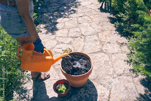 An unrecognizable woman is watering seedlings in a pot. Transplanting seedlings into a larger pot. With space to copy. High quality photo