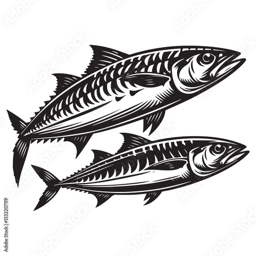 Illustration of fish (mackerel) seafood vector