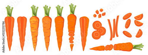 Set of carrots. Whole carrots, slices, cut in half. Vector illustration.