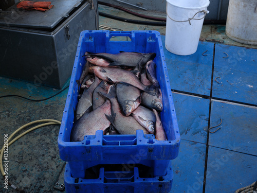 Fishing on Urk - Visserij op Urk photo