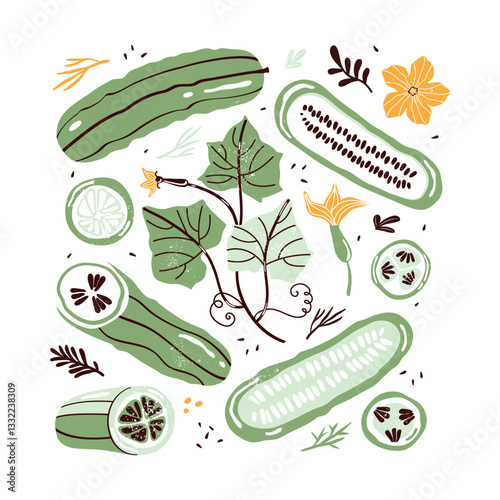 Hand drawn set colorful doodle vegetables in trendy organic style. Green cucumber, gherkin, cucumber flower, seeds, herbs. Vegetables cut in half, piece. Vegetarian healthy food. Farm products