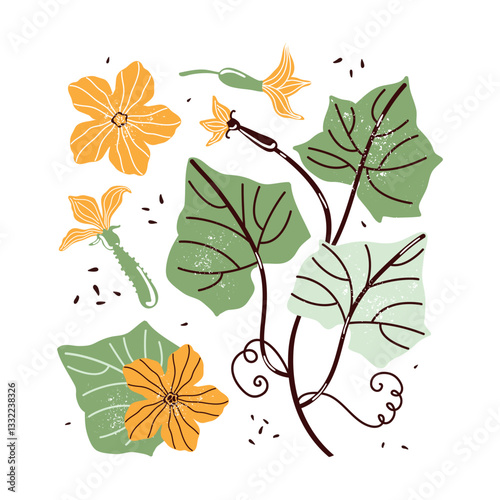 Hand-drawn botanical illustration of flowers, leaves, buds and curls of pumpkin, cucumber and zucchini on a white background. Hand drawn simple flat vector