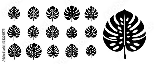 monstera leaf silhouette collection black and white vector set