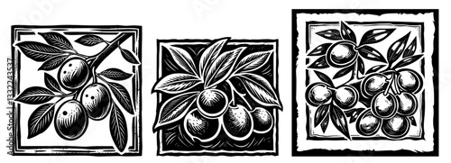 fruit branches square icons in engraved woodcut style