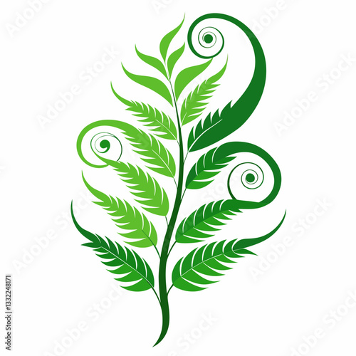 abstract fern with flowing organic curves