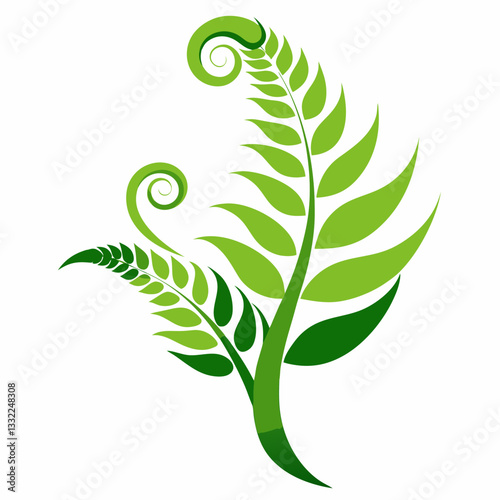 abstract fern with flowing organic curves