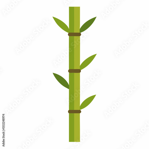 modern bamboo stalk with sleek vertical alignment 