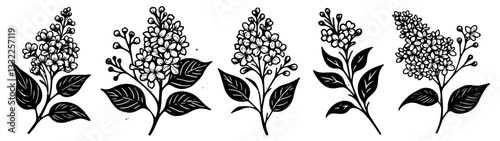 black and white vector lilac flower illustrations with leaves