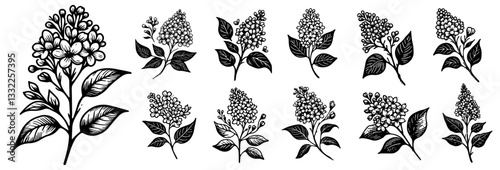 detailed lilac flower bundle collection silhouette vector black shape