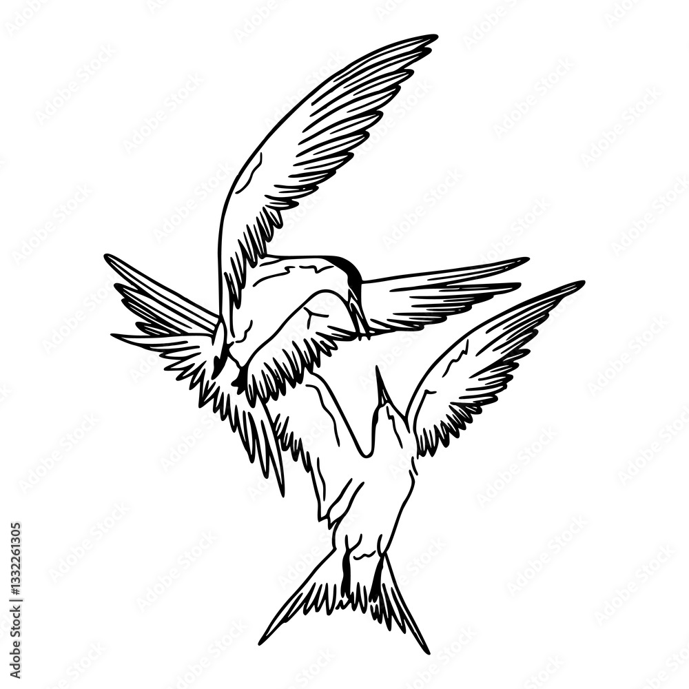 Obraz premium swallows in flight vector illustration