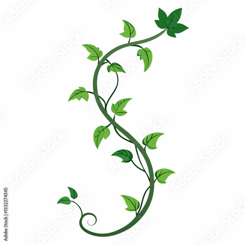 minimalist ivy tendrils twisting gracefully 