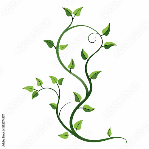 minimalist ivy tendrils twisting gracefully 