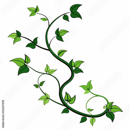 minimalist ivy tendrils twisting gracefully 
