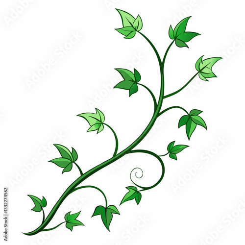 minimalist ivy tendrils twisting gracefully 