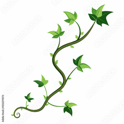 minimalist ivy tendrils twisting gracefully 