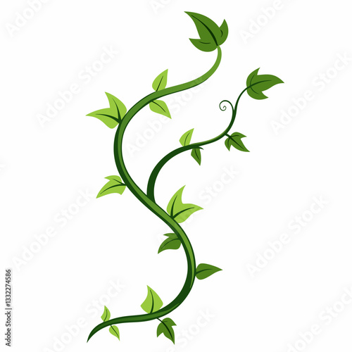 minimalist ivy tendrils twisting gracefully 