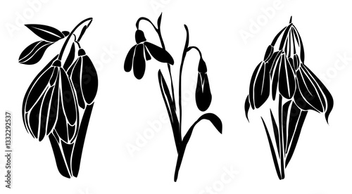 Set of black silhouettes of snowdrop, January Birth month flowers. Hand drawn outline flower icon. Vector monochrome illustrations isolated