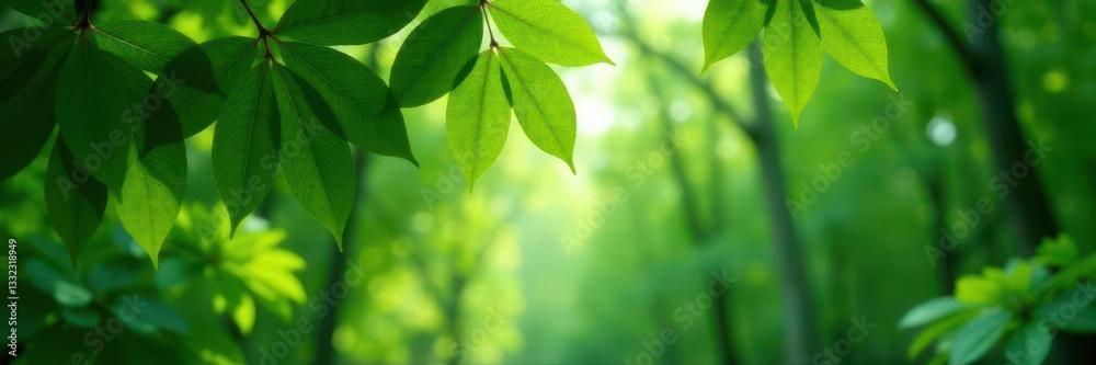 Soft, unfocused green canopy, indistinct shapes, soft focus, dreamy Soft, unfocused green canopy, indistinct shapes, soft focus, dreamy