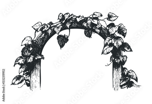 Botanical archway with ivy leaves in black and white line art design. Vector retro hand drawn illustration