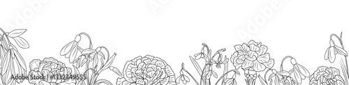 Carnation and snowdrop flowers line art drawing border. Horizontal banner, floral overlay backdrop. Botanical monochrome ink sketch style hand drawn vector illustration isolated. 