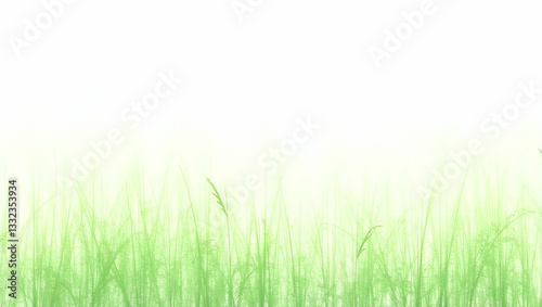 Serene Watercolor Illustration of Green Grass Blowing in the Wind - Perfect for Nature-Themed Designs and Decor with Empty Space for Customization