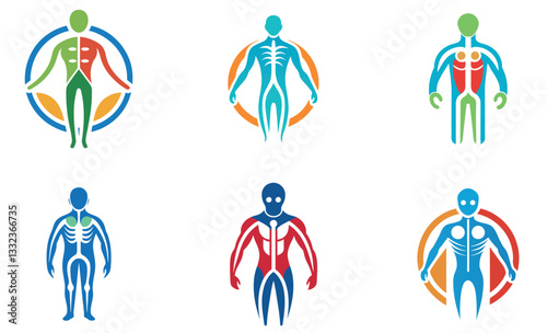  Human Anatomy Body Icons Set - Colorful Silhouettes with Skeleton and Muscles