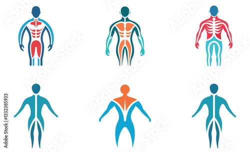 Colorful Human Anatomy Icons for Healthcare or Fitness