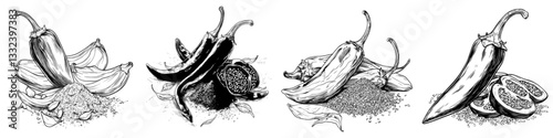 A hand drawn modern illustration of a Chili Pepper is presented in a vegetable engraved style as an isolated object, symbolizing a hot and spicy mexican element