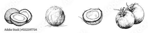 A hand-drawn modern abstract illustration of exotic tropical fruit, including coconuts, is depicted in ink and isolated on a white background, symbolizing a healthy lifestyle