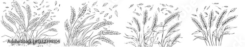 A hand-drawn modern illustration sketch features a few ears of wheat set against a beige background